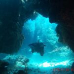 Un buceador cruza un arco de coral oscuro en Palancar, con la arena blanca iluminada por el sol detrás de él