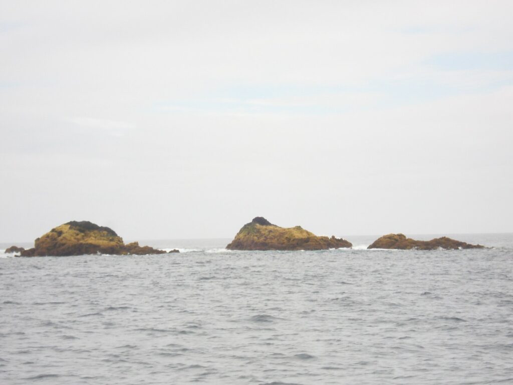 Tres rocas bajas cubiertas de algas ocres emergen de un mar gris y agitado, con algo de espuma, bajo un cielo blanco y cubierto