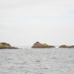 Tres rocas bajas cubiertas de algas ocres emergen de un mar gris y agitado, con algo de espuma, bajo un cielo blanco y cubierto