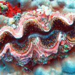Una almeja gigante de manto ondulado rosa, pardo y azul, bordeado de puntos naranjas, encajada en un coral masivo gris azulado, con una esponja roja y ascidias verdes