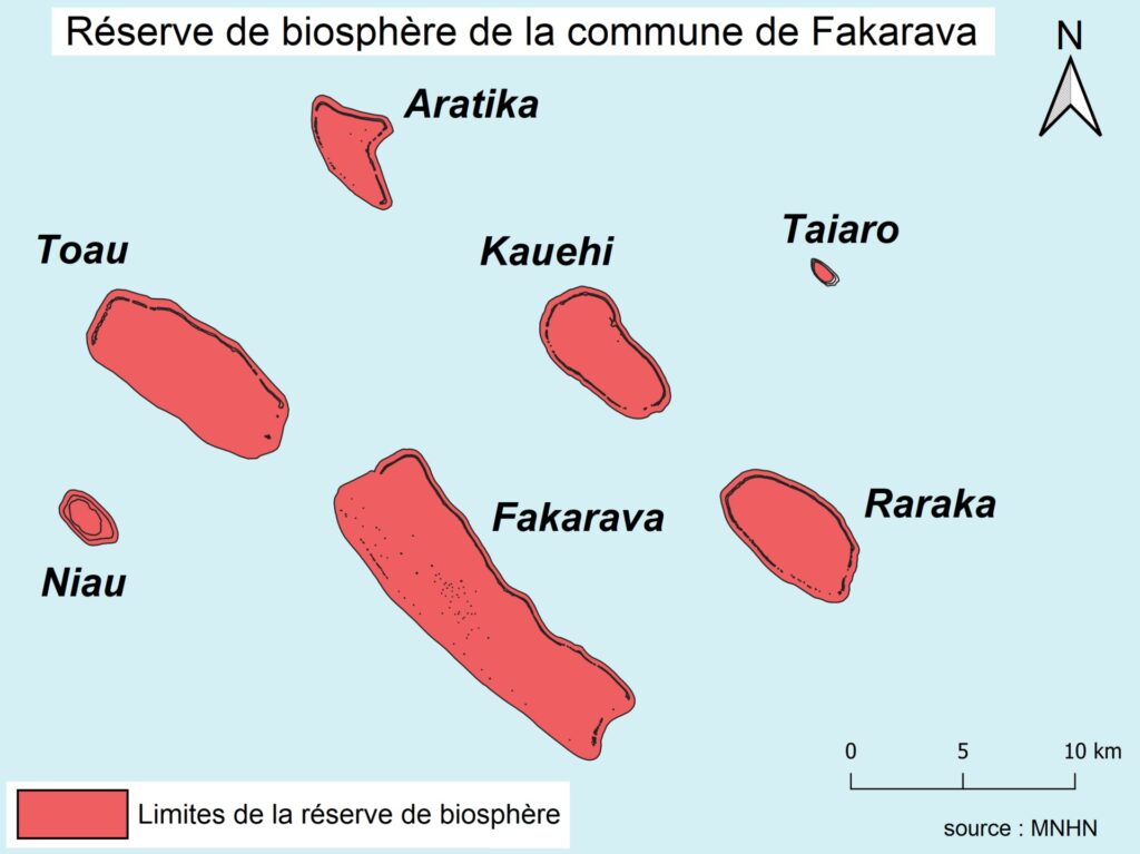 Mapa de siete atolones dibujados en rojo sobre fondo azul claro, con Fakarava en el centro, rodeada de Toau, Aratika, Kauehi, Taiaro, Raraka y Niau, con la flecha del norte y una escala