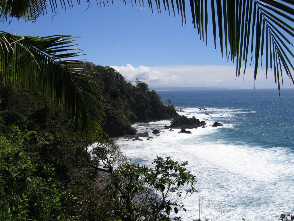 La costa rocosa y boscosa de la isla del Caño vista entre hojas de cocotero, con la espuma blanca sobre las rocas y el océano azul hasta el horizonte