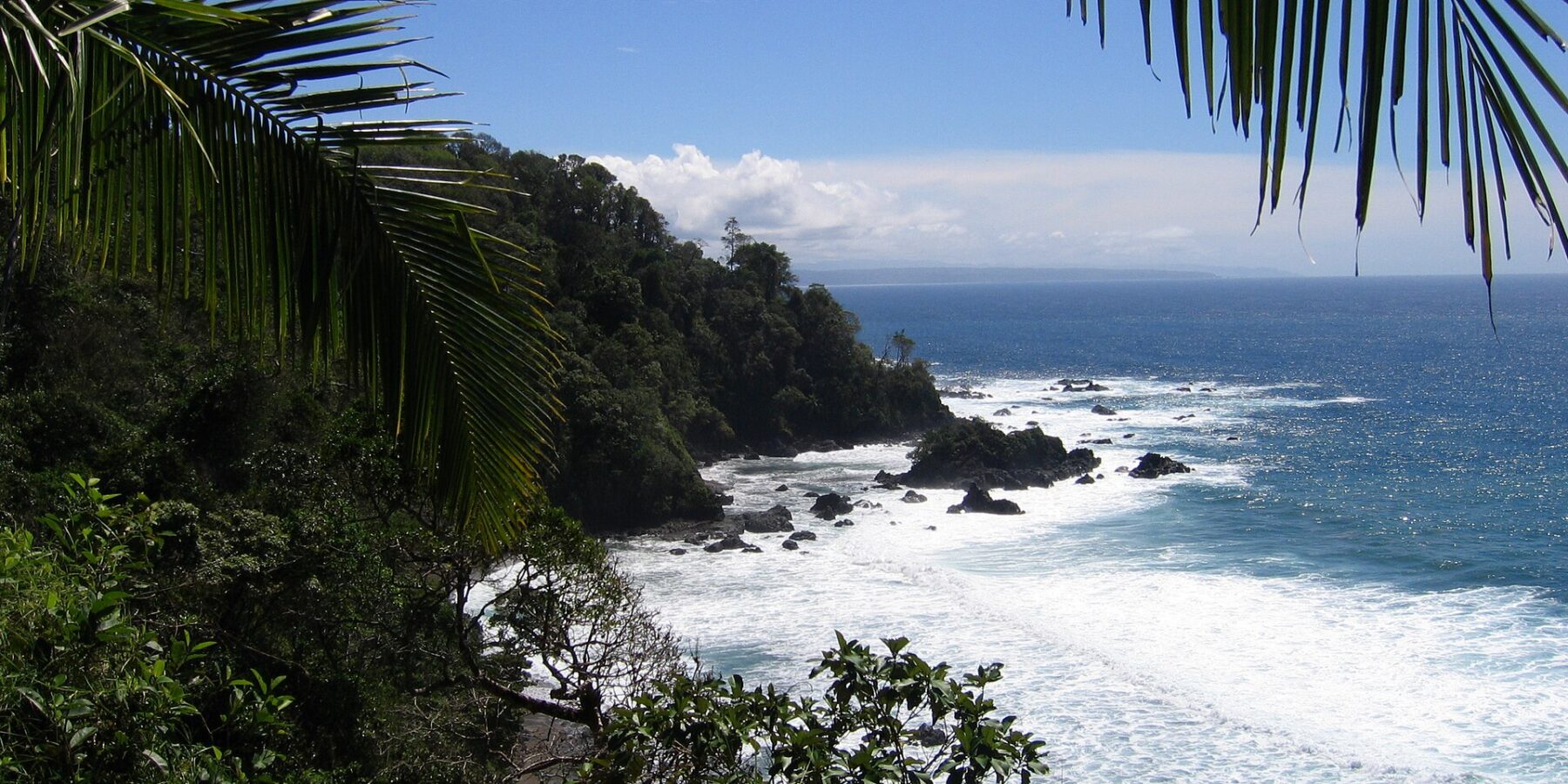 Vista en picado enmarcada por hojas de palmera: un cabo cubierto de selva tropical cae al mar, las olas rompen blancas sobre rocas negras y una costa lejana se dibuja en el horizonte bajo un cielo azul.