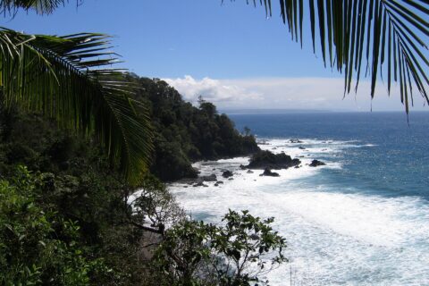 Vista en picado enmarcada por hojas de palmera: un cabo cubierto de selva tropical cae al mar, las olas rompen blancas sobre rocas negras y una costa lejana se dibuja en el horizonte bajo un cielo azul.