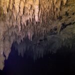 Un techo de estalactitas beige iluminado con linterna, que se refleja en una superficie de agua negra, en el cenote The Pit