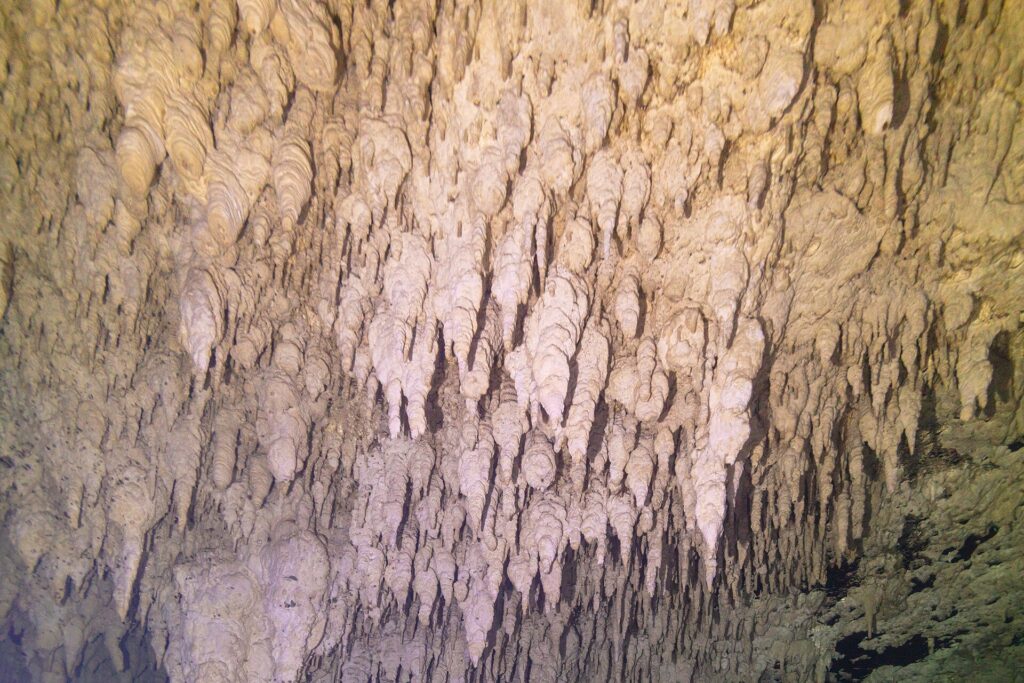 Una pared de caliza cubierta de cientos de pequeñas estalactitas blancas y amarillas, en primer plano