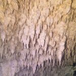 Una pared de caliza cubierta de cientos de pequeñas estalactitas blancas y amarillas, en primer plano