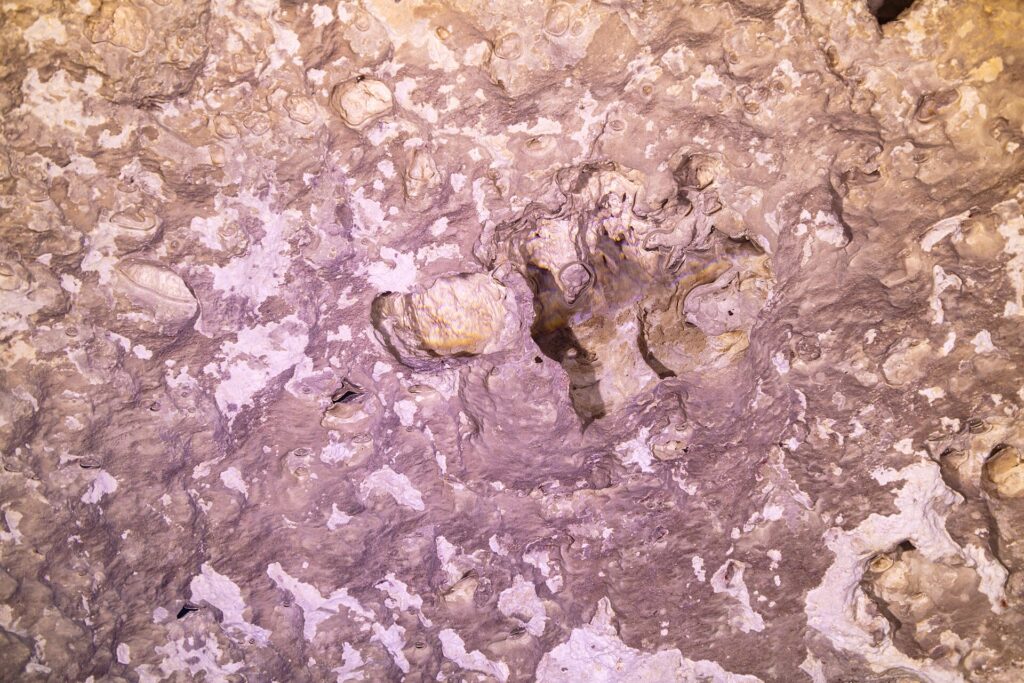 Primer plano de la roca rosa y blanca de la pared del cenote, con huecos, burbujas de aire atrapadas y formaciones