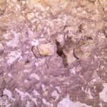 Primer plano de la roca rosa y blanca de la pared del cenote, con huecos, burbujas de aire atrapadas y formaciones