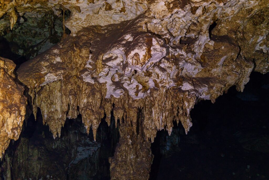 Un techo de caliza marrón y blanca erizado de estalactitas cortas, iluminado con linterna, en la caverna de Dos Ojos