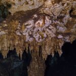 Un techo de caliza marrón y blanca erizado de estalactitas cortas, iluminado con linterna, en la caverna de Dos Ojos