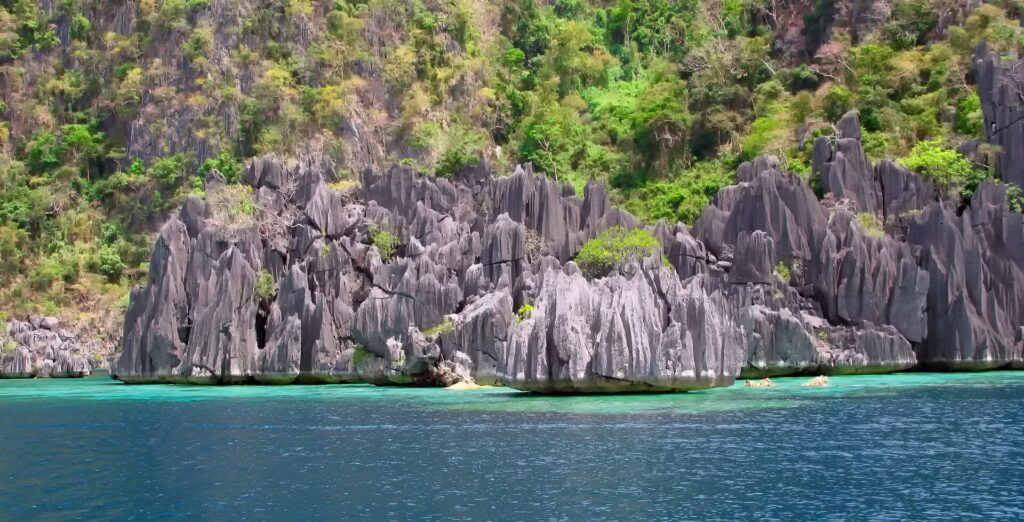 Agujas de caliza gris esculpidas en láminas se hunden en un agua turquesa y luego azul profundo, al pie de una ladera cubierta de bosque.