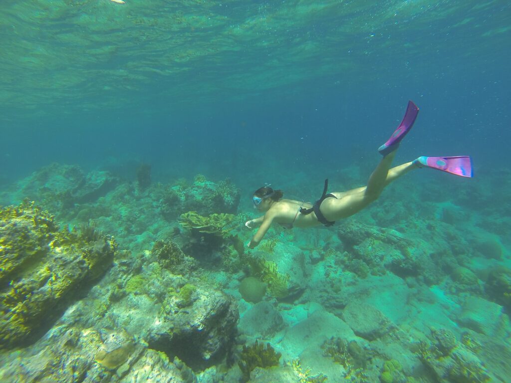 Una apneísta con máscara y aletas rosas desciende hacia un fondo de rocas y corales, bajo la superficie rizada, en un agua turquesa