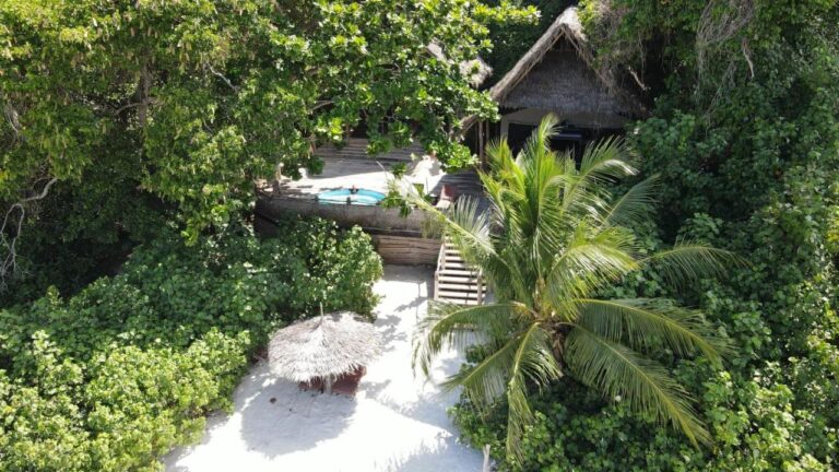 Vista aérea de un bungalow con techo de paja, su terraza con piscina pequeña y la escalera hacia la arena