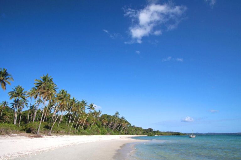 Una playa de arena blanca bordeada de cocoteros, con un velero a lo lejos
