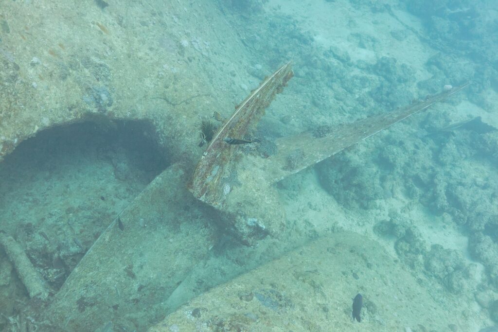 Una pala de la hélice del Thistlegorm, cubierta de concreciones, posada en la arena junto al casco