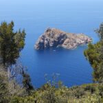 Vista en picado desde las alturas de Port-Cros, entre pinos y arbustos, del islote rocoso y escarpado de La Gabinière sobre un mar azul profundo, con un pequeño barco blanco fondeado a sus pies.