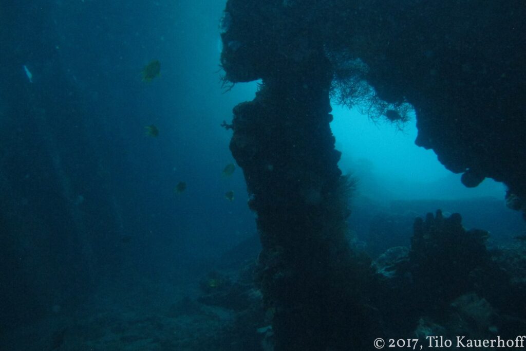 Una abertura en la estructura oscura del Liberty, con vigas cubiertas de concreciones y algunos peces amarillos, sobre un agua azul verdosa