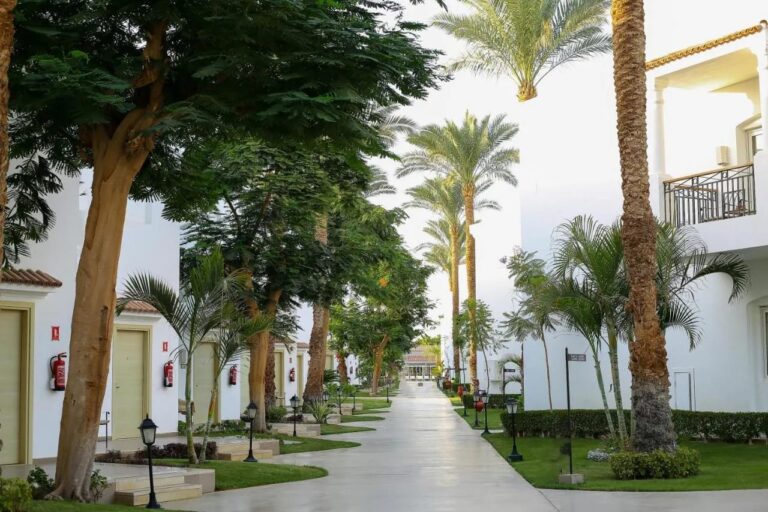 Un sendero bordeado de palmeras y farolas, entre edificios blancos