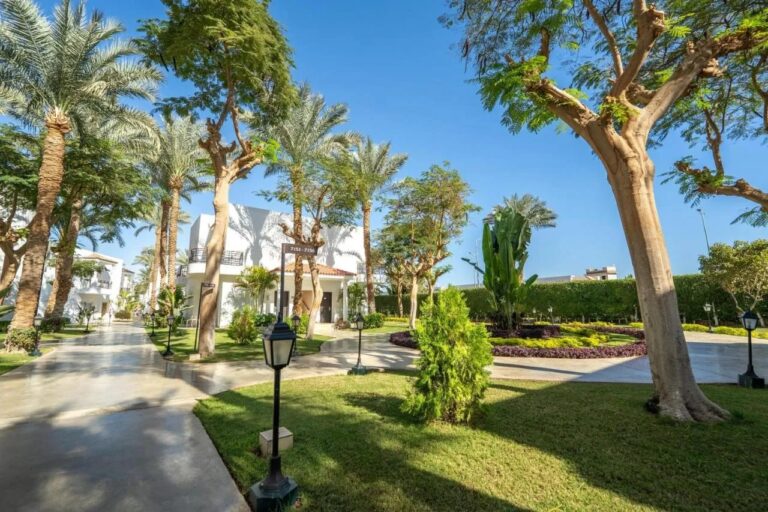 El jardín, con su césped, sus palmeras y sus senderos, delante de un edificio blanco