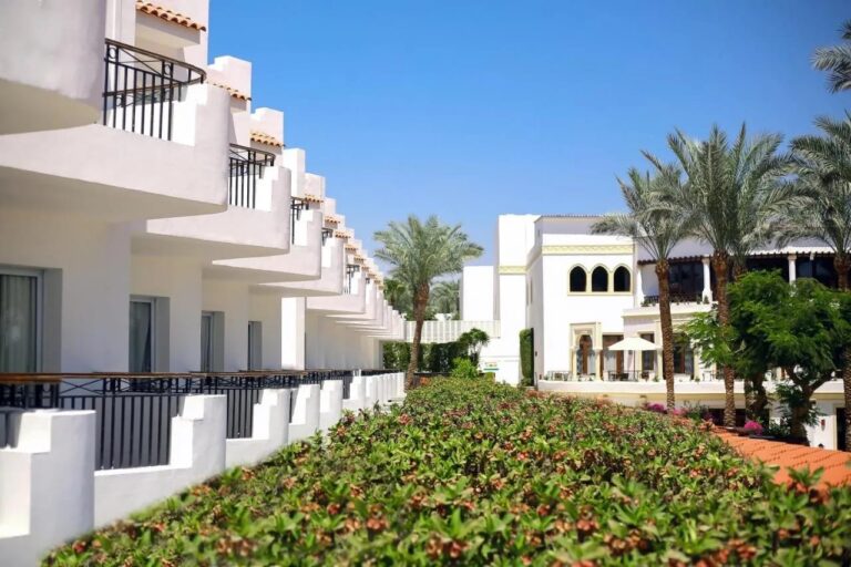 Los edificios blancos del JAZ Fanara Resort, sus balcones y las palmeras, detrás de un seto en flor