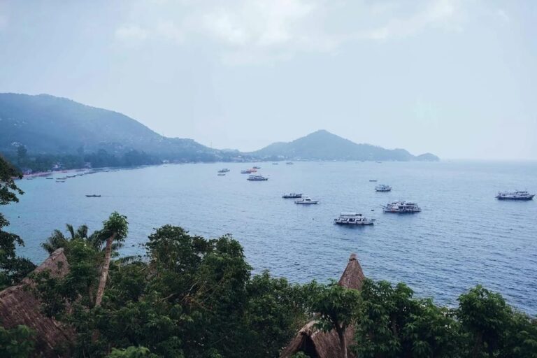Vista de la bahía y sus barcos fondeados, por encima de los techos de paja