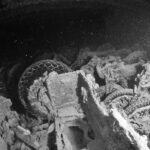 Motos apiladas en la bodega del Thistlegorm, foto en blanco y negro, con los neumáticos y las ruedas todavía visibles