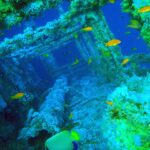 Las superestructuras del Numidia cubiertas de corales blandos, con anthias naranjas alrededor y un pez ángel emperador en primer plano, en un agua azul verdosa