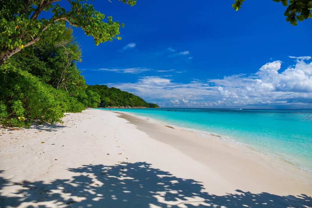 La playa de arena blanca de Koh Tachai bordeada de árboles bajo un cielo azul, con el agua turquesa a la derecha y una línea de boyas mar adentro