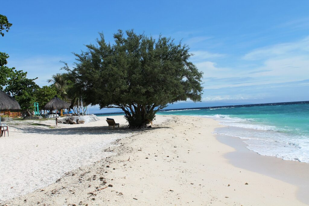 Una playa de arena blanca donde un gran árbol frondoso da sombra a una tumbona, con chozas de techo de paja a la izquierda y el mar turquesa que rompe suavemente a la derecha, bajo un cielo azul.