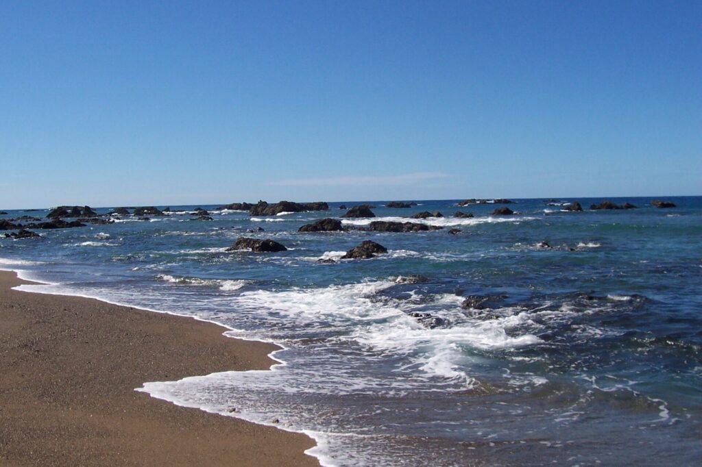 Una playa de arena castaña dorada donde mueren olas orladas de espuma, frente a un mar azul salpicado de rocas negras hasta el horizonte, bajo un cielo sin nubes.