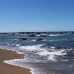 Una playa de arena castaña dorada donde mueren olas orladas de espuma, frente a un mar azul salpicado de rocas negras hasta el horizonte, bajo un cielo sin nubes.