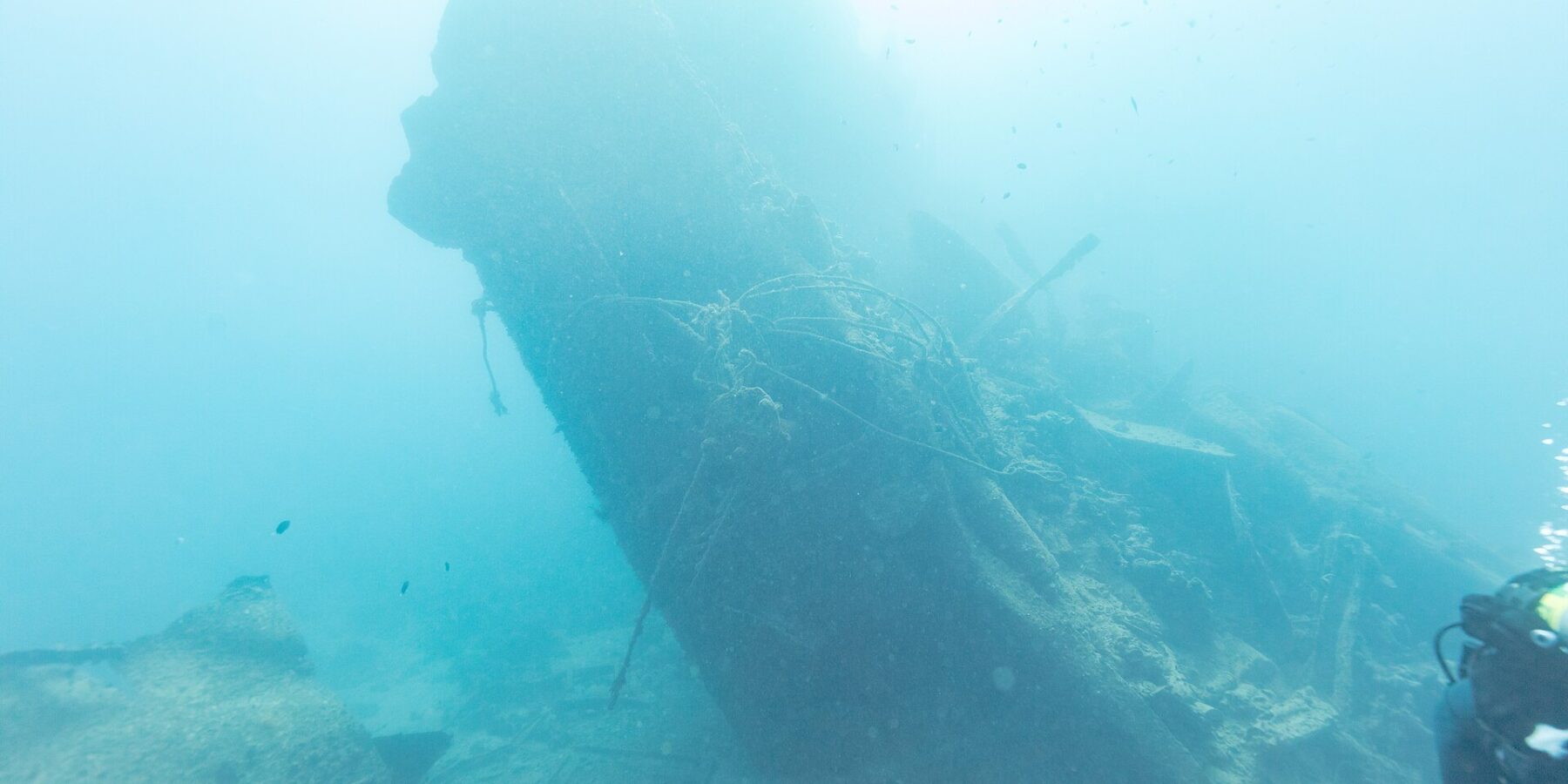 La popa rota del Thistlegorm, levantada e inclinada en el azul, con un buceador a la derecha