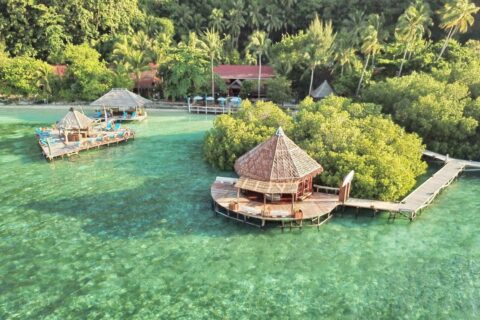 Vista aérea del Raja Ampat Dive Lodge, con sus pontones sobre pilotes y sus tejados rojos bajo las palmeras