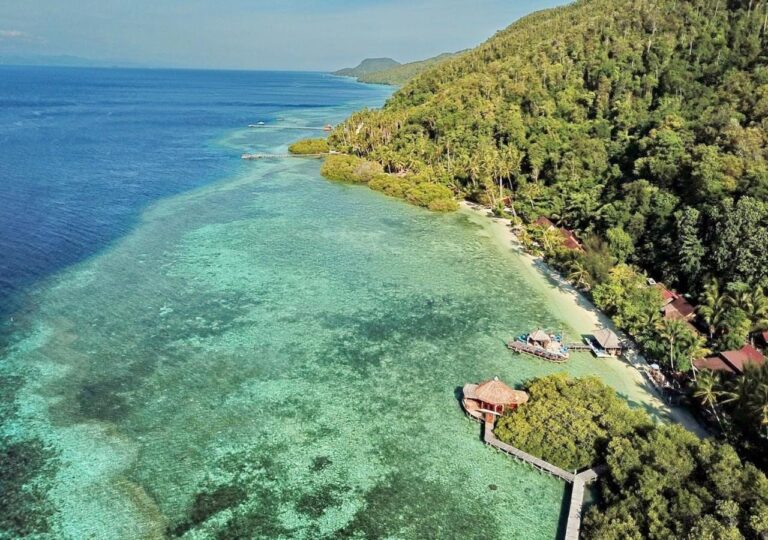 Vista aérea de la costa boscosa, con los techos del lodge a lo largo de la playa y el agua turquesa
