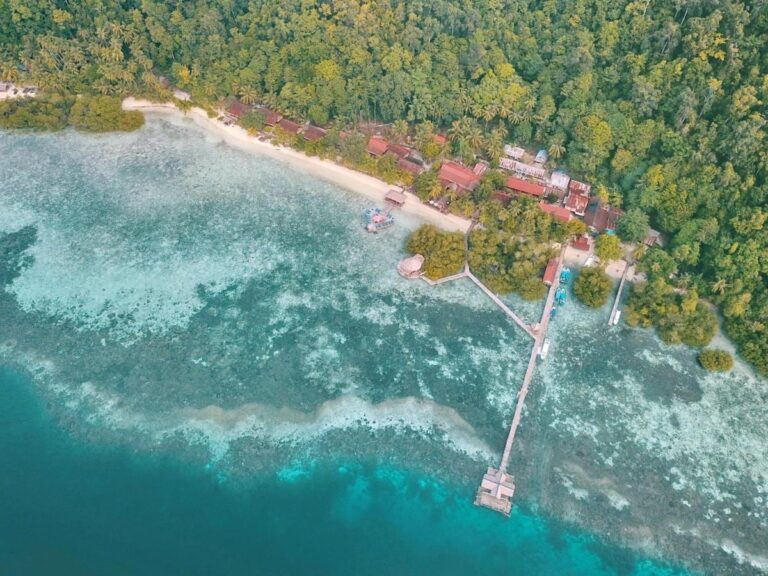Un largo muelle de madera que sale de la playa hacia mar abierto, visto desde el aire