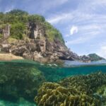Vista mitad aire, mitad agua: bajo la superficie, un gran macizo de coral foliáceo amarillo verdoso en un agua turquesa límpida; arriba, una costa de rocas oscuras cubierta de vegetación bajo un cielo azul velado.