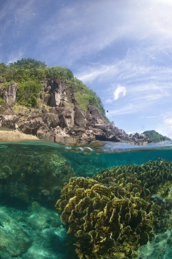 Vista mitad aire, mitad agua: bajo la superficie, un gran macizo de coral foliáceo amarillo verdoso en un agua turquesa límpida; arriba, una costa de rocas oscuras cubierta de vegetación bajo un cielo azul velado.