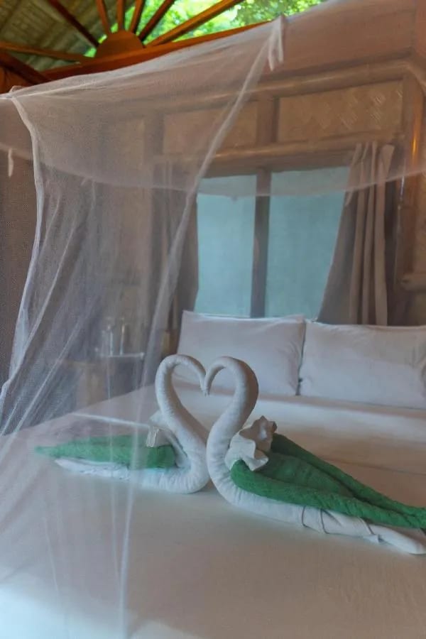 Dos cisnes hechos con toallas sobre una cama con mosquitero