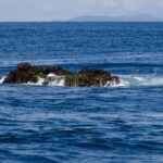 La cima de Richelieu Rock asoma con la marea baja, una roca oscura cubierta de algas verdes y batida por las olas, con las islas Surin en el horizonte