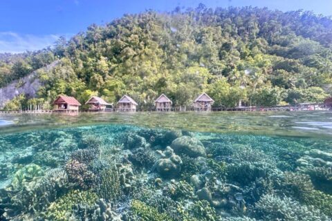 El arrecife de coral bajo la superficie y los bungalows sobre pilotes del Terimakasih Homestay, al pie de una colina boscosa