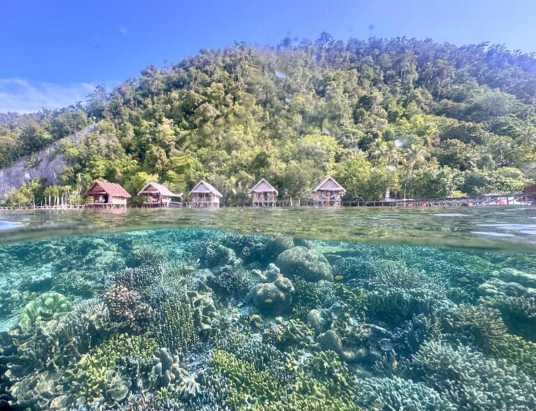 El arrecife de coral bajo la superficie y los bungalows sobre pilotes del Terimakasih Homestay, al pie de una colina boscosa
