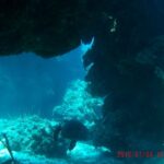 Una tortuga posada en la arena bajo un extraplomo de coral en Palancar, con gorgonias en primer plano y el azul detrás