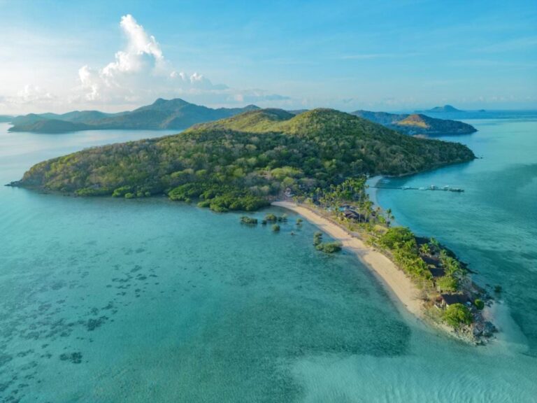 Vista aérea de una isla cubierta de bosque, prolongada por una lengua de arena bordeada de palmeras