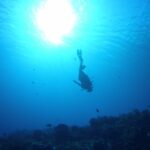 La silueta de un buceador que baja de cabeza hacia el arrecife de Palancar Gardens, con el sol a contraluz en la superficie y gorgonias en el fondo