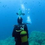 Un buceador con traje negro y botella amarilla a la espalda, visto de espaldas frente a un mero común que viene hacia él en aguas abiertas azules, sobre rocas cubiertas de algas y entre decenas de peces pequeños.