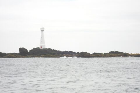 Un faro blanco y esbelto con la puerta roja se alza sobre el islote bajo y rocoso de Formigão, de rocas oscuras bordeadas de algas pardas, sobre un mar gris y agitado bajo un cielo cubierto
