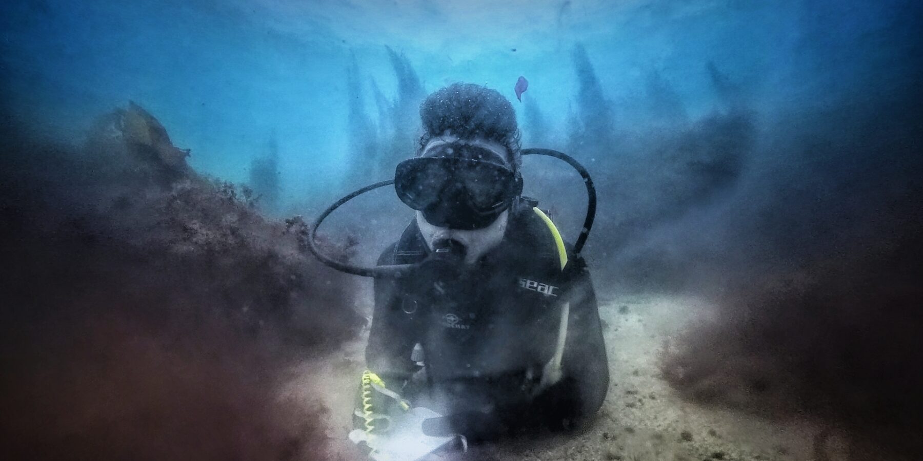 Un buceador con traje negro, tumbado sobre un fondo de arena entre dos rocas cubiertas de algas pardas, escribe en una pizarra blanca, con siluetas de laminarias recortadas en el azul detrás de él.