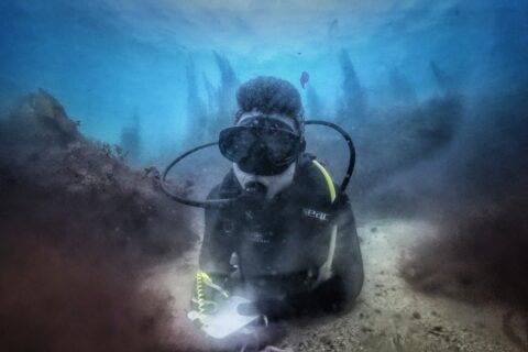 Un buceador con traje negro, tumbado sobre un fondo de arena entre dos rocas cubiertas de algas pardas, escribe en una pizarra blanca, con siluetas de laminarias recortadas en el azul detrás de él.