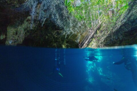 Vista mitad aire, mitad agua en la entrada del cenote The Pit: la bóveda de caliza y la escalera de madera bajo la selva arriba, y dos buceadores en el agua azul profundo abajo